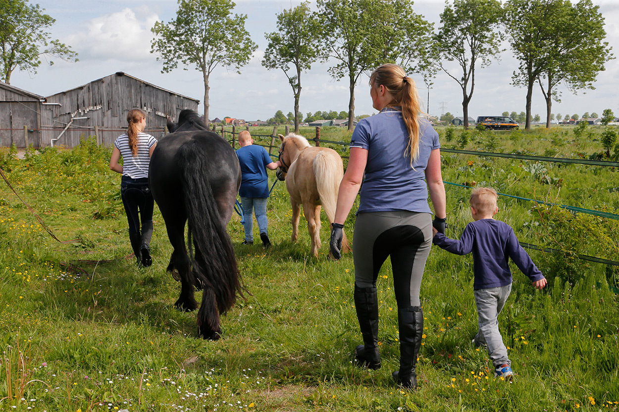 paarden-uit-wei-halen paarden-uit-wei-halen