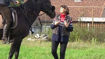 Inge Teblick 1 Inge Teblick 1