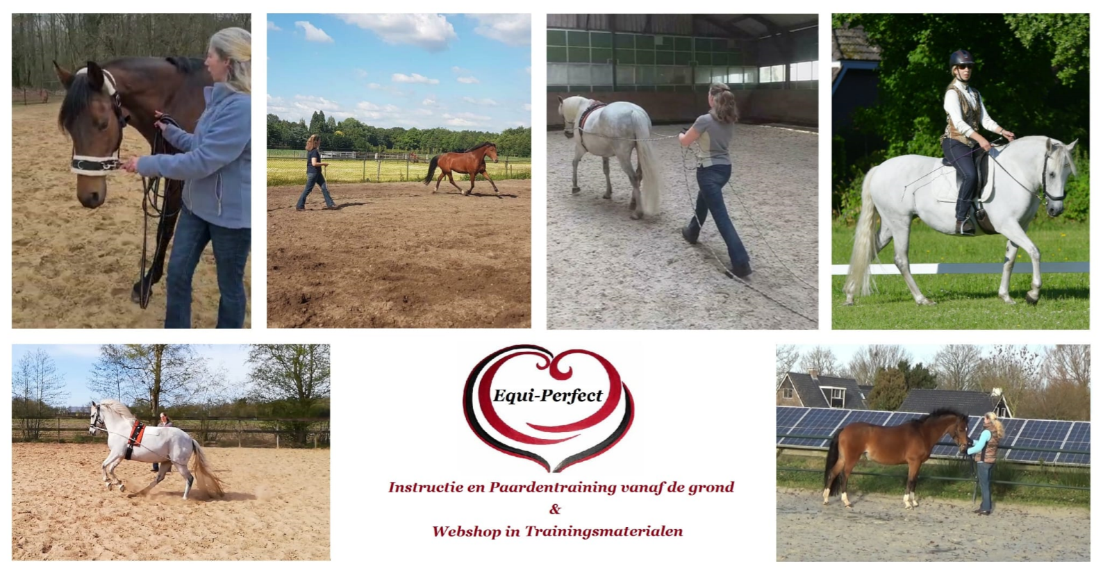 Equi-Perfect Equi-Perfect