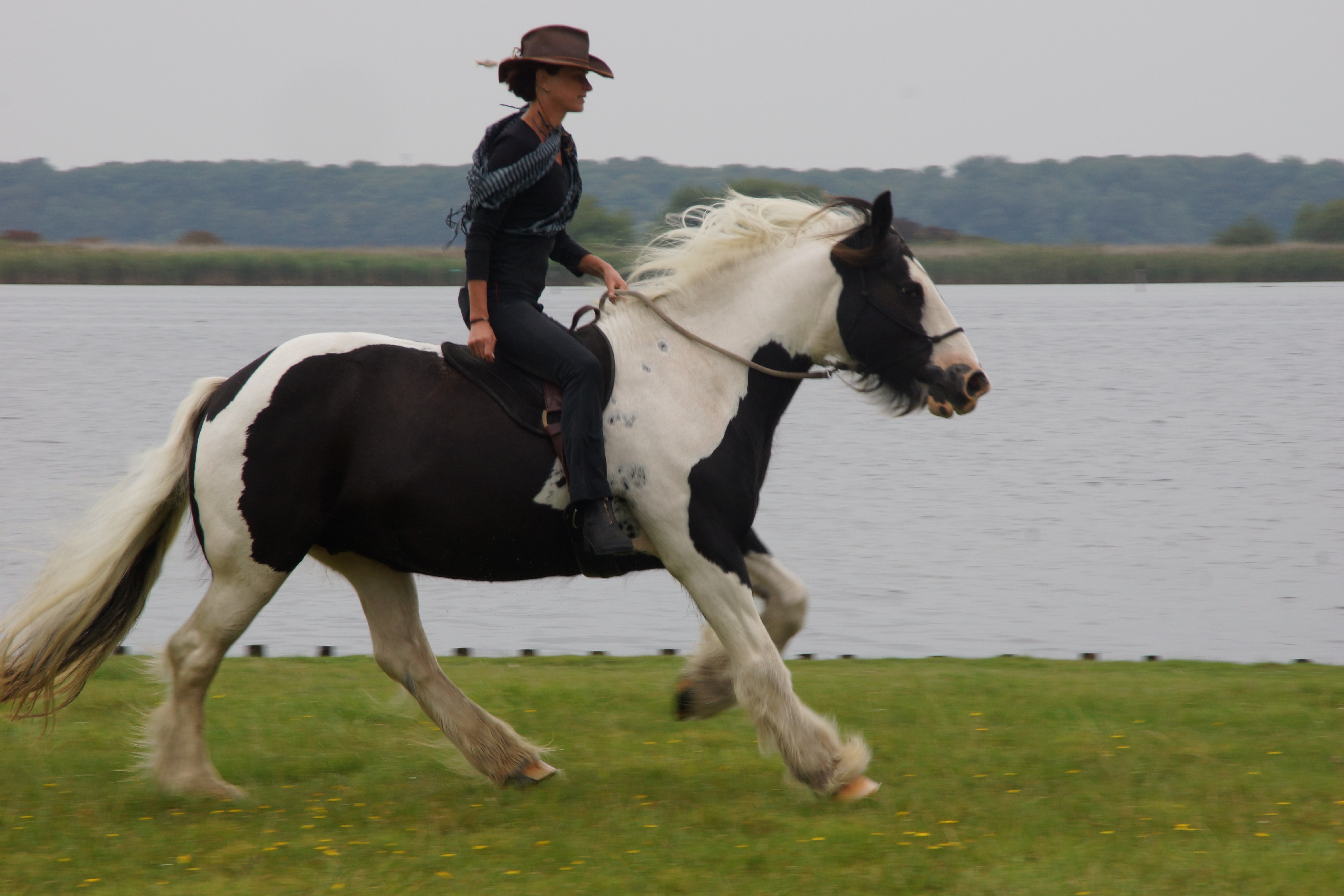 bitloos rijden Manon