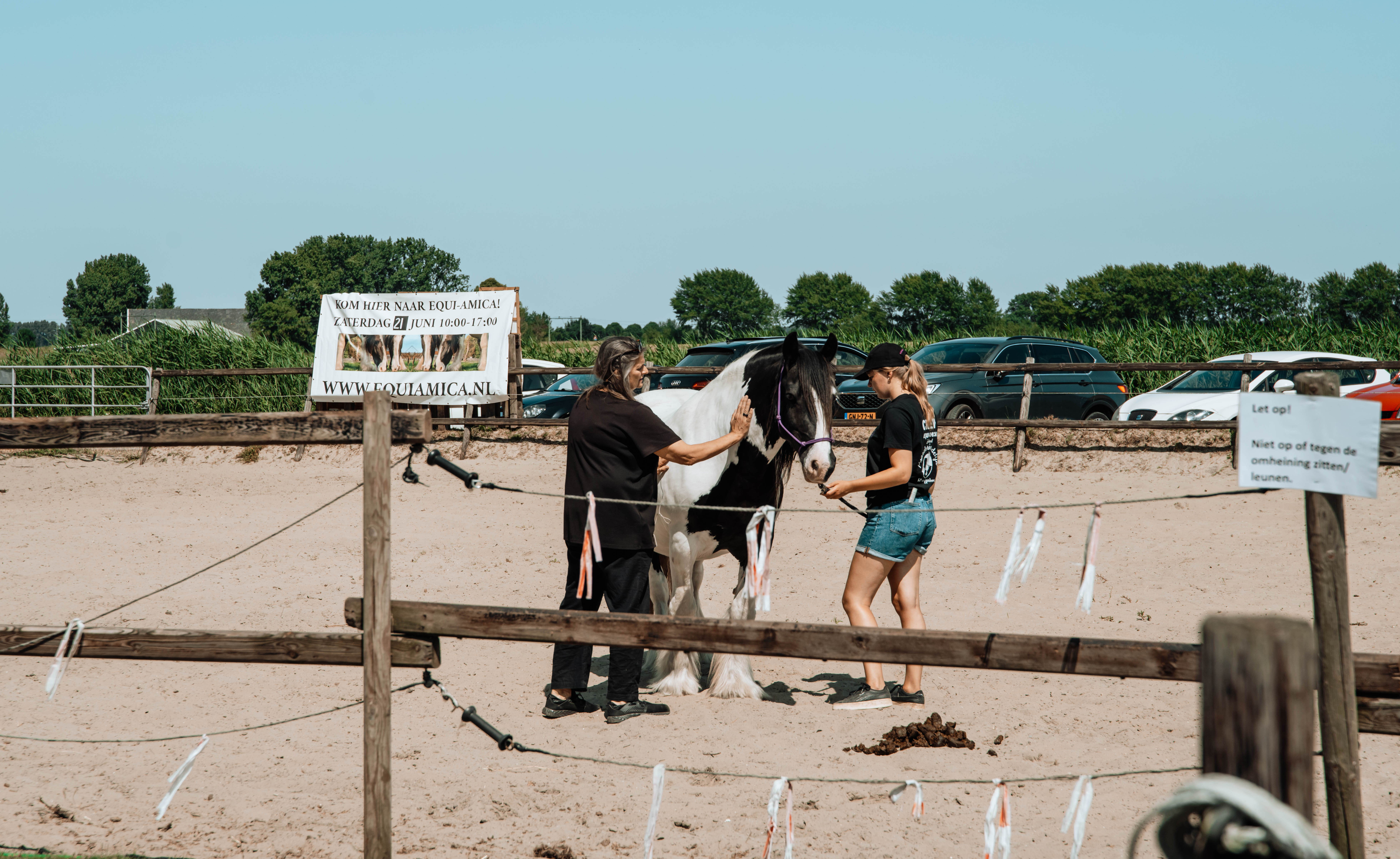 Equi Amica 2025