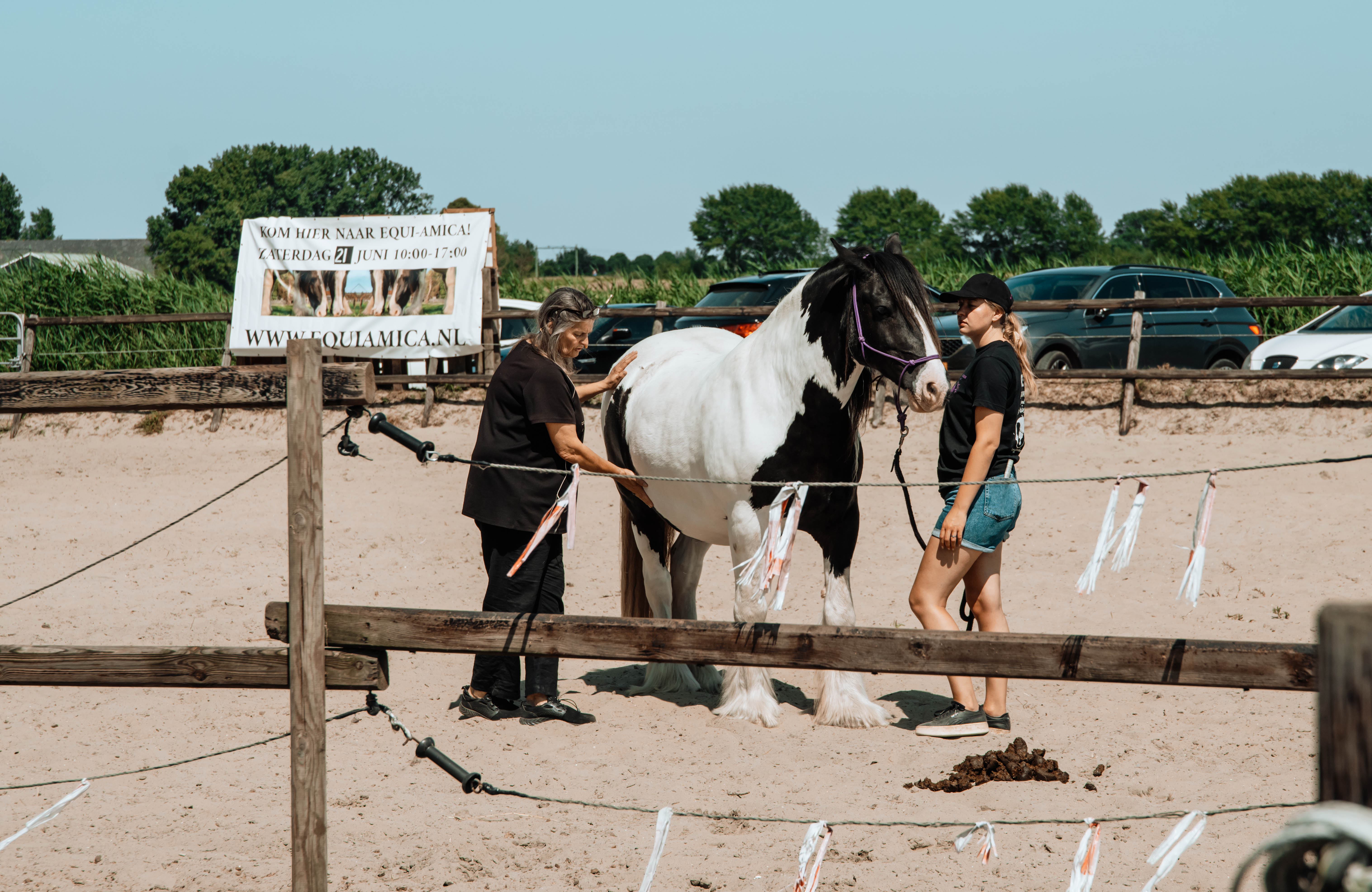 Equi Amica 2025