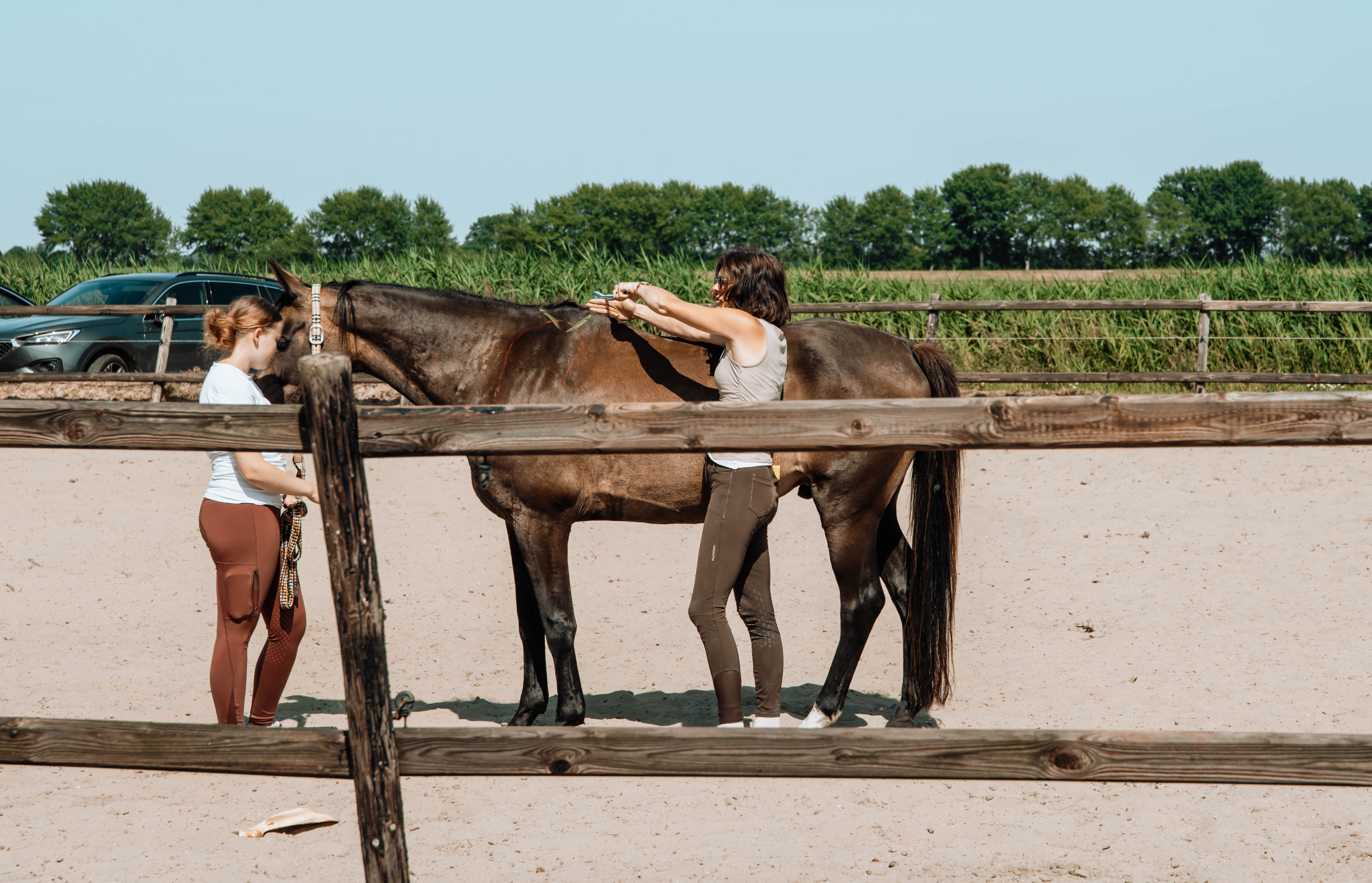 Equi Amica 2025