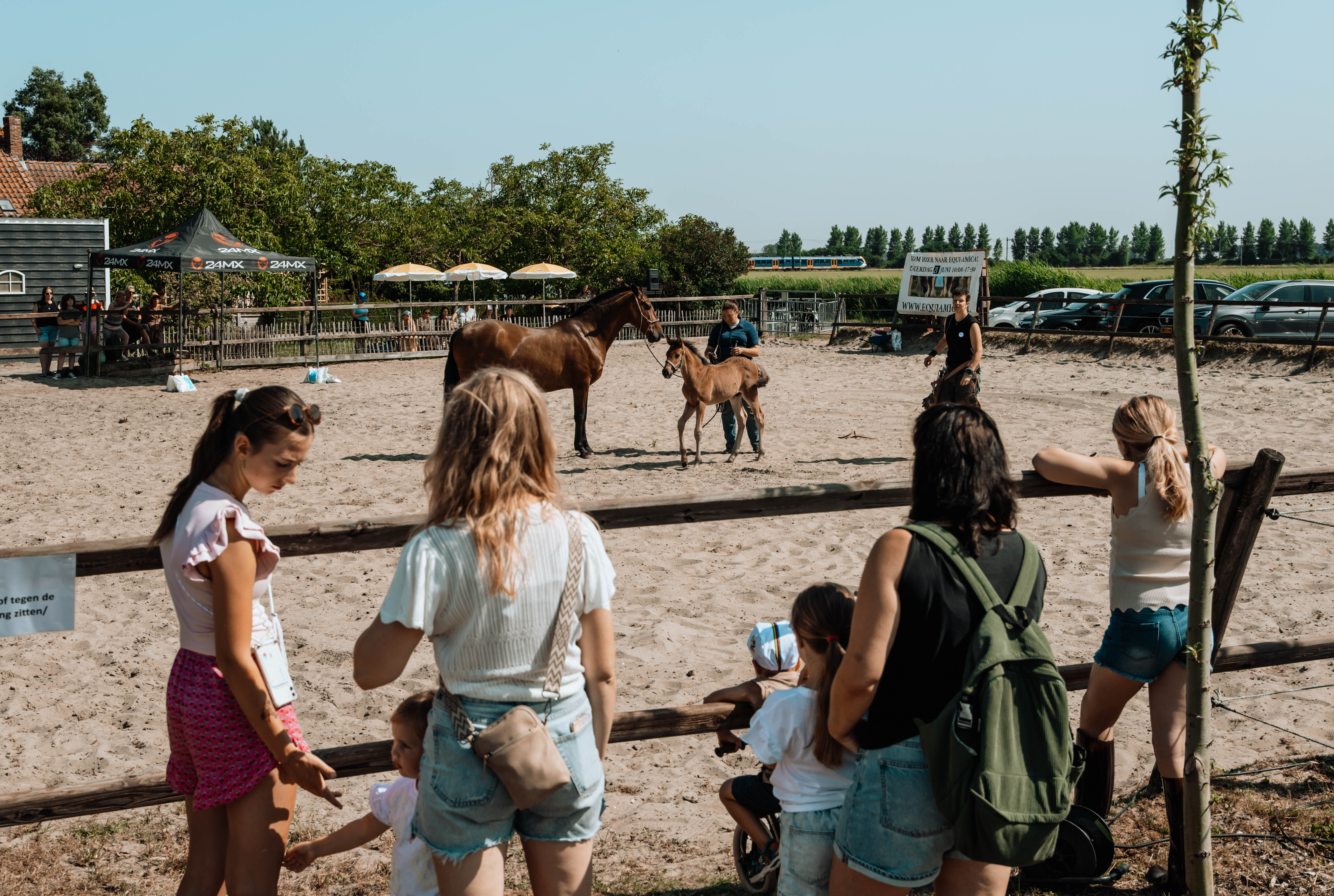 Equi Amica 2025