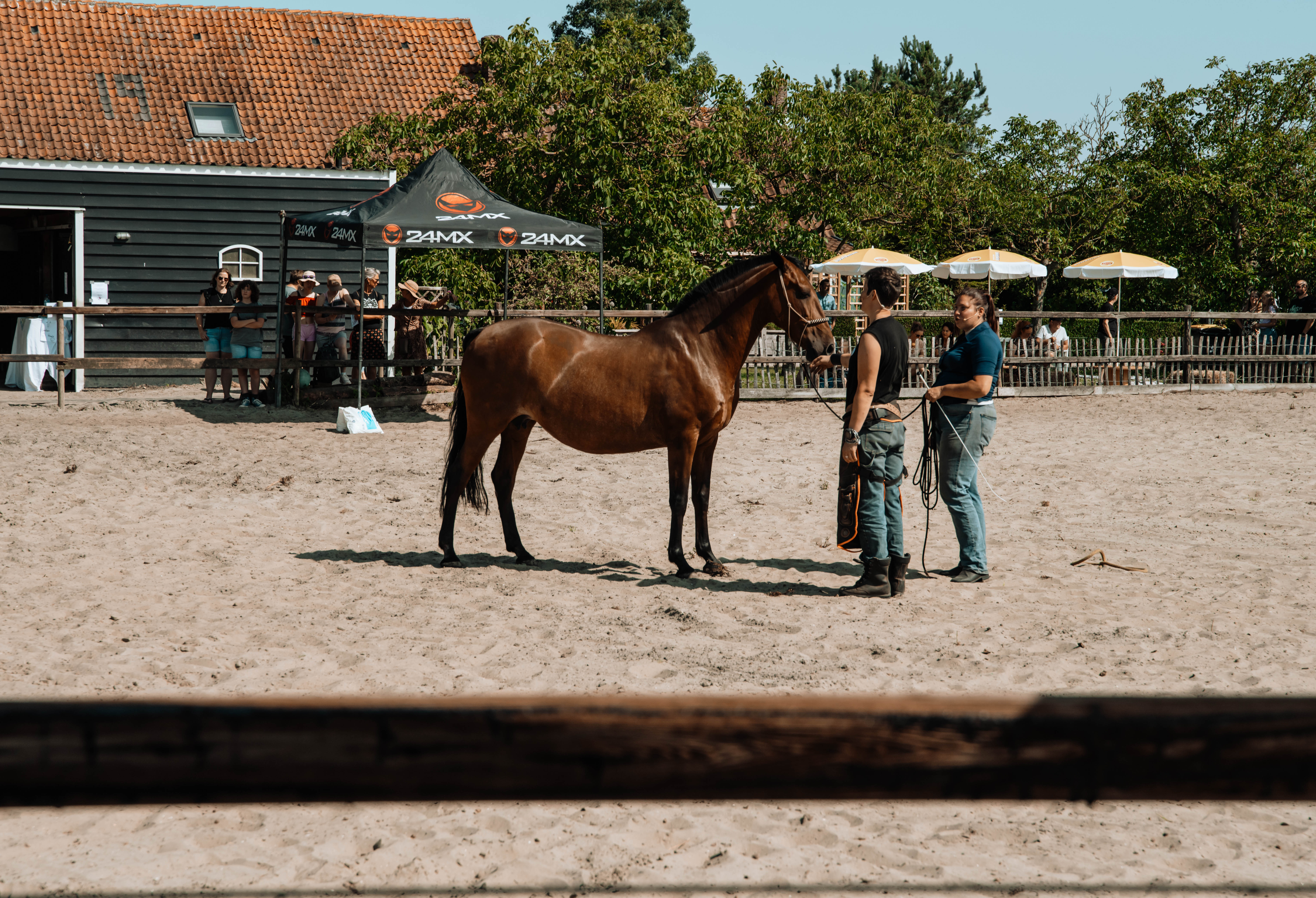 Equi Amica 2025