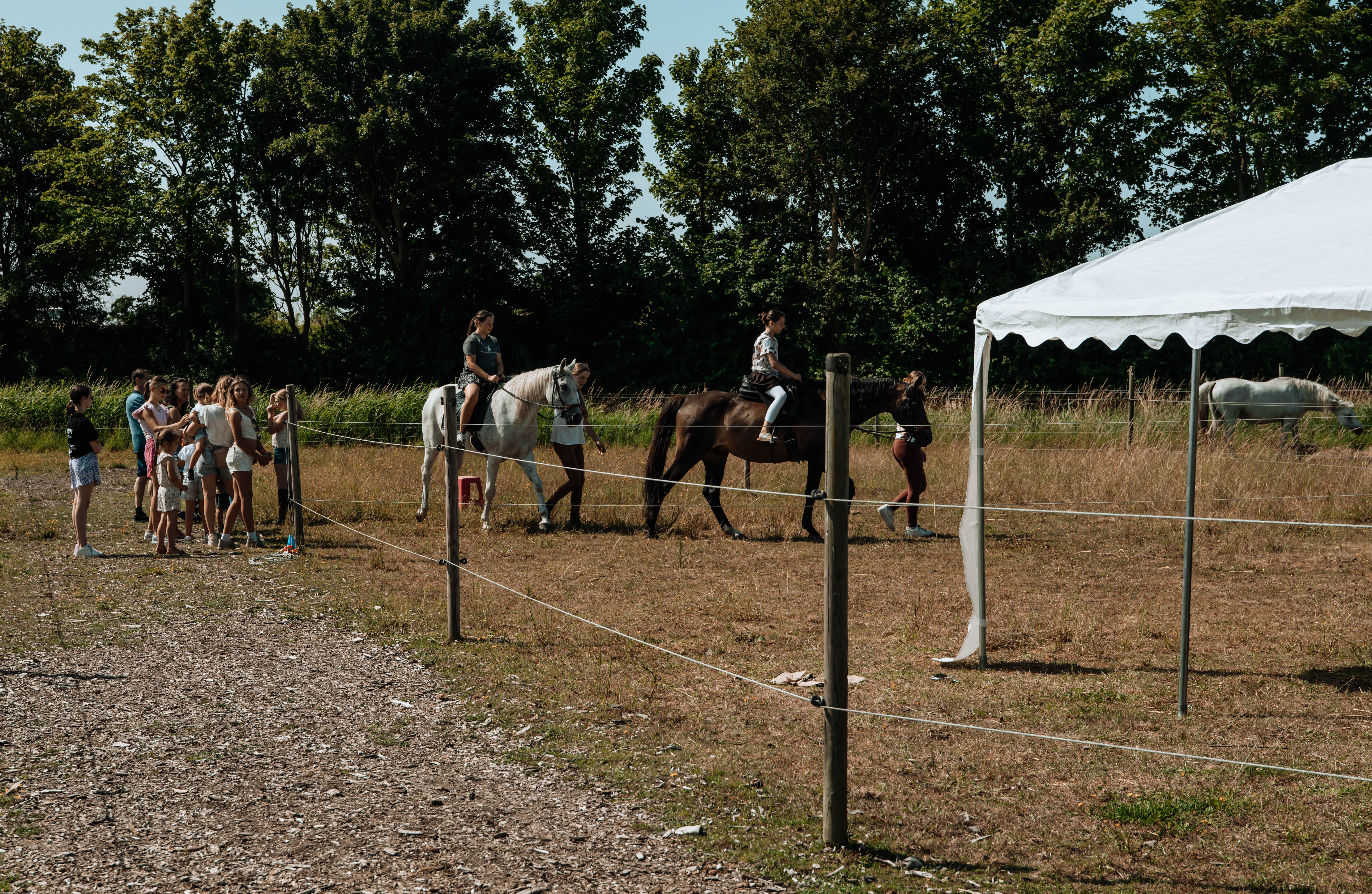 Equi Amica 2025