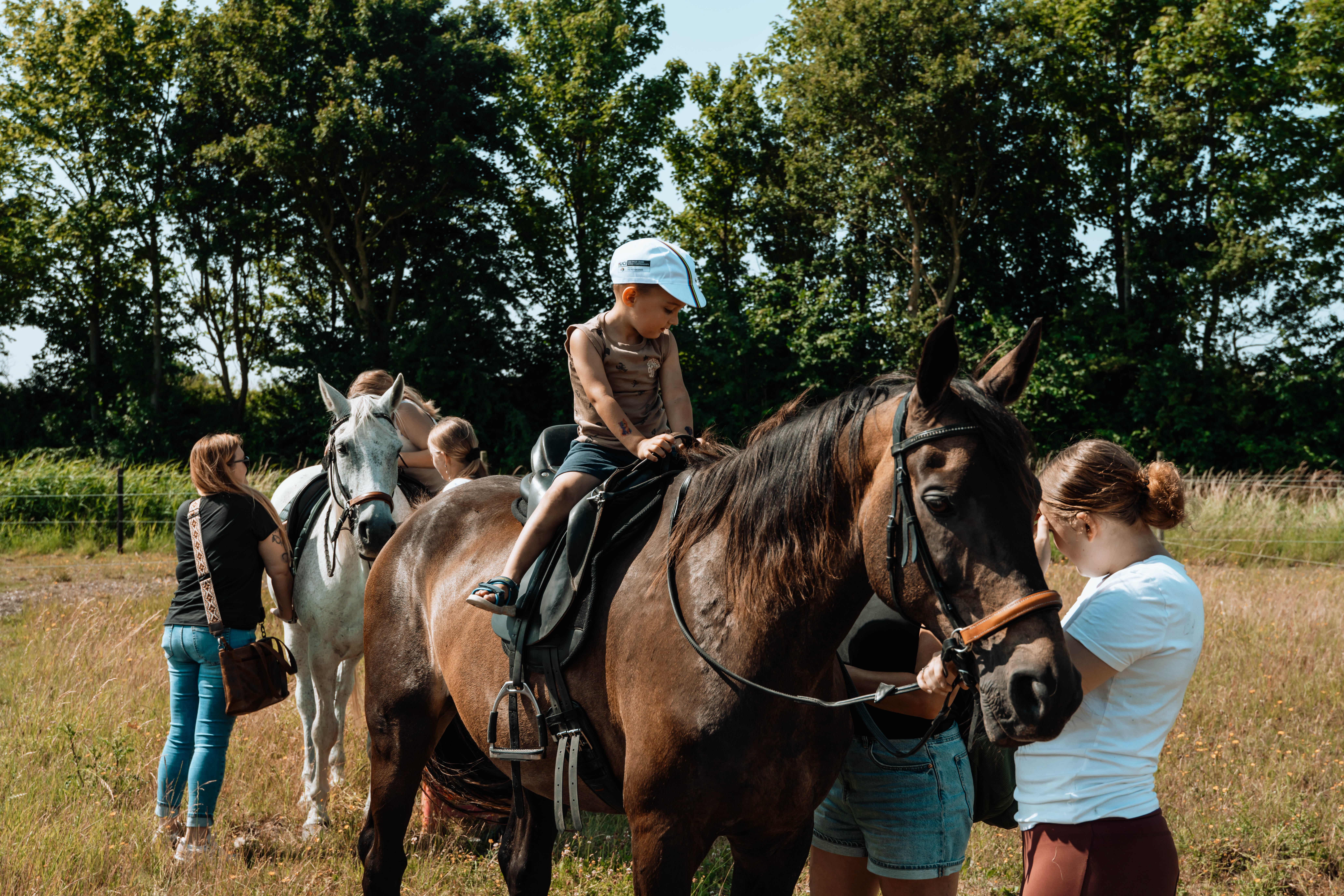 Equi Amica 2025