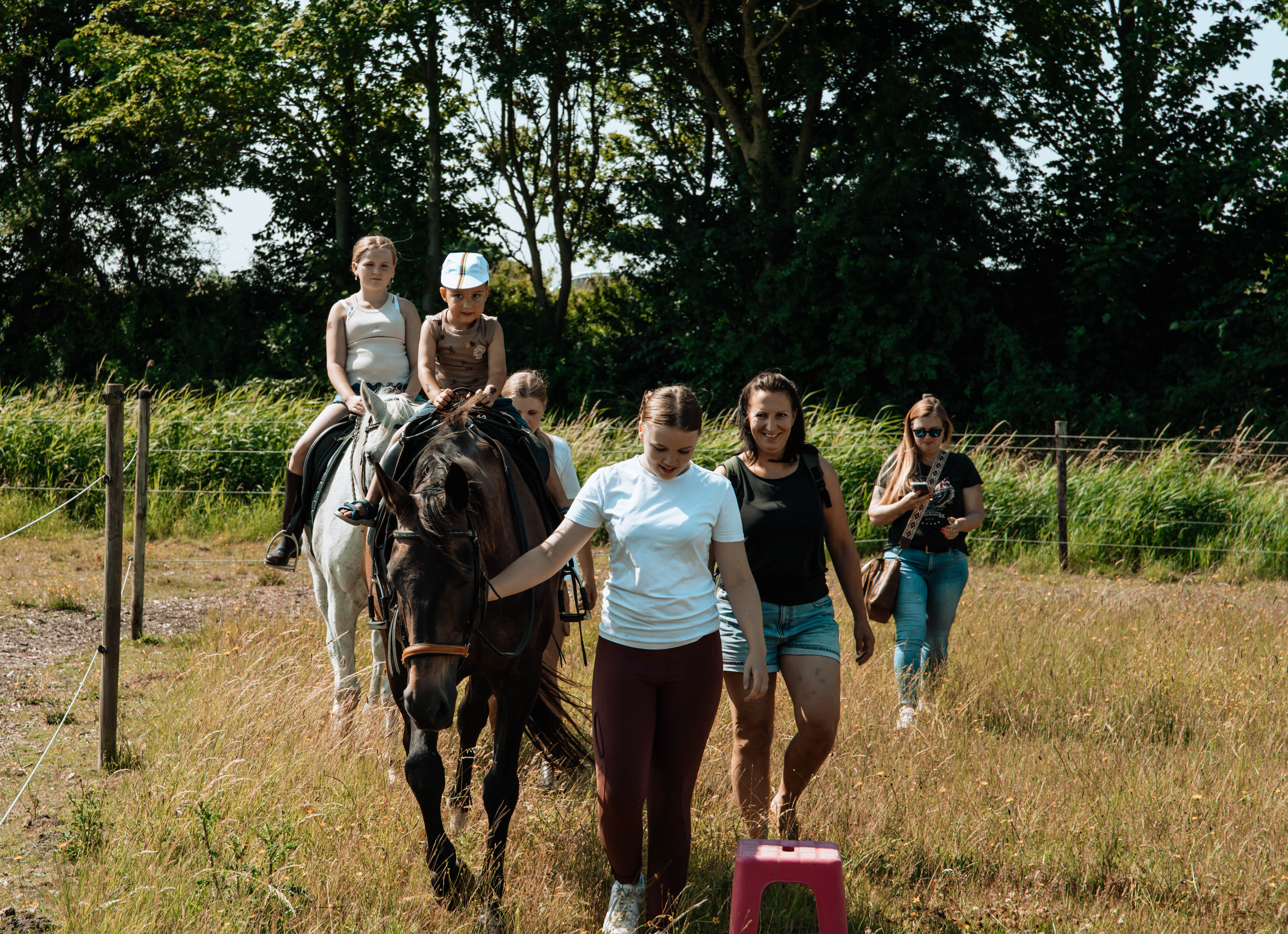 Equi Amica 2025