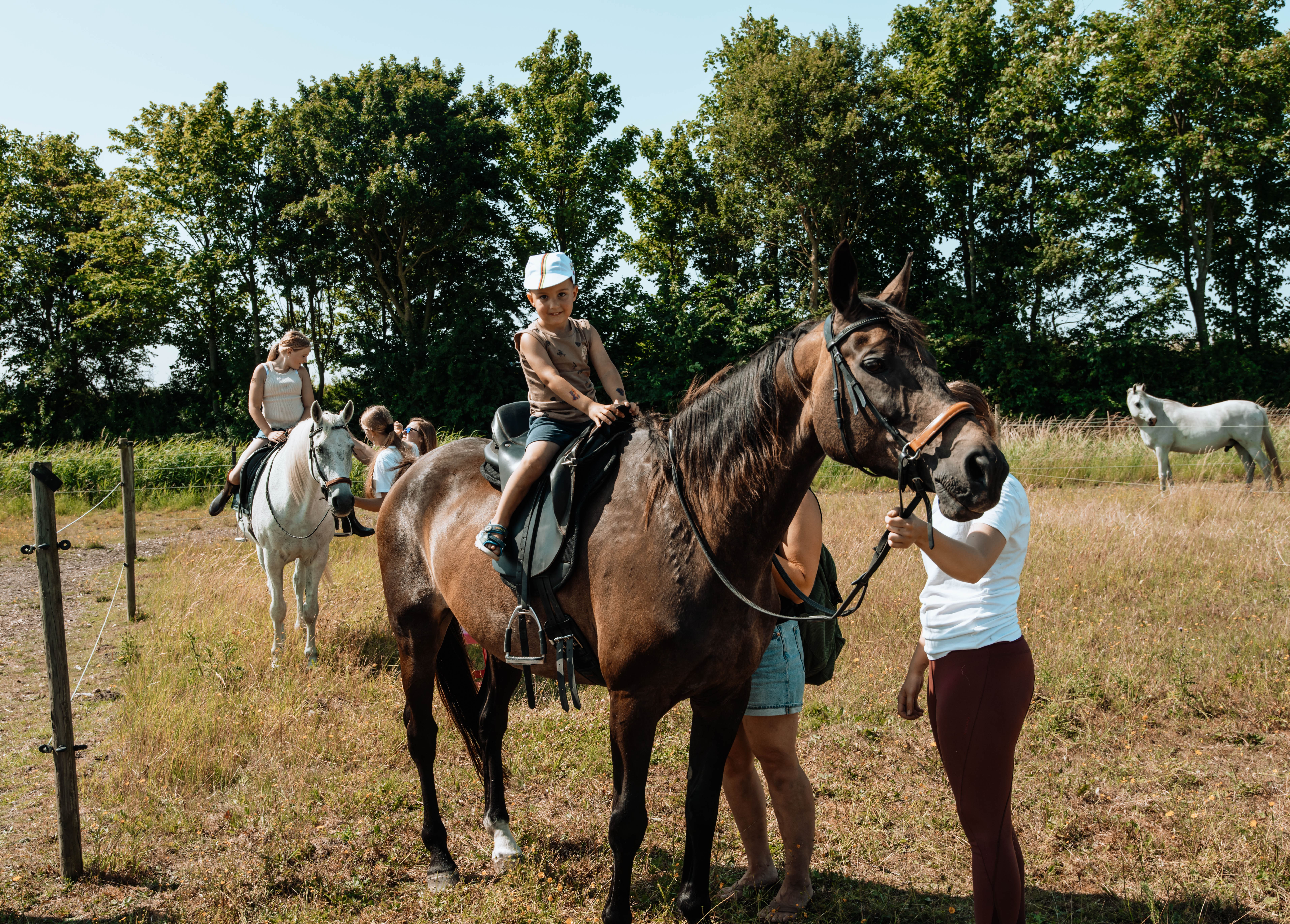 Equi Amica 2025