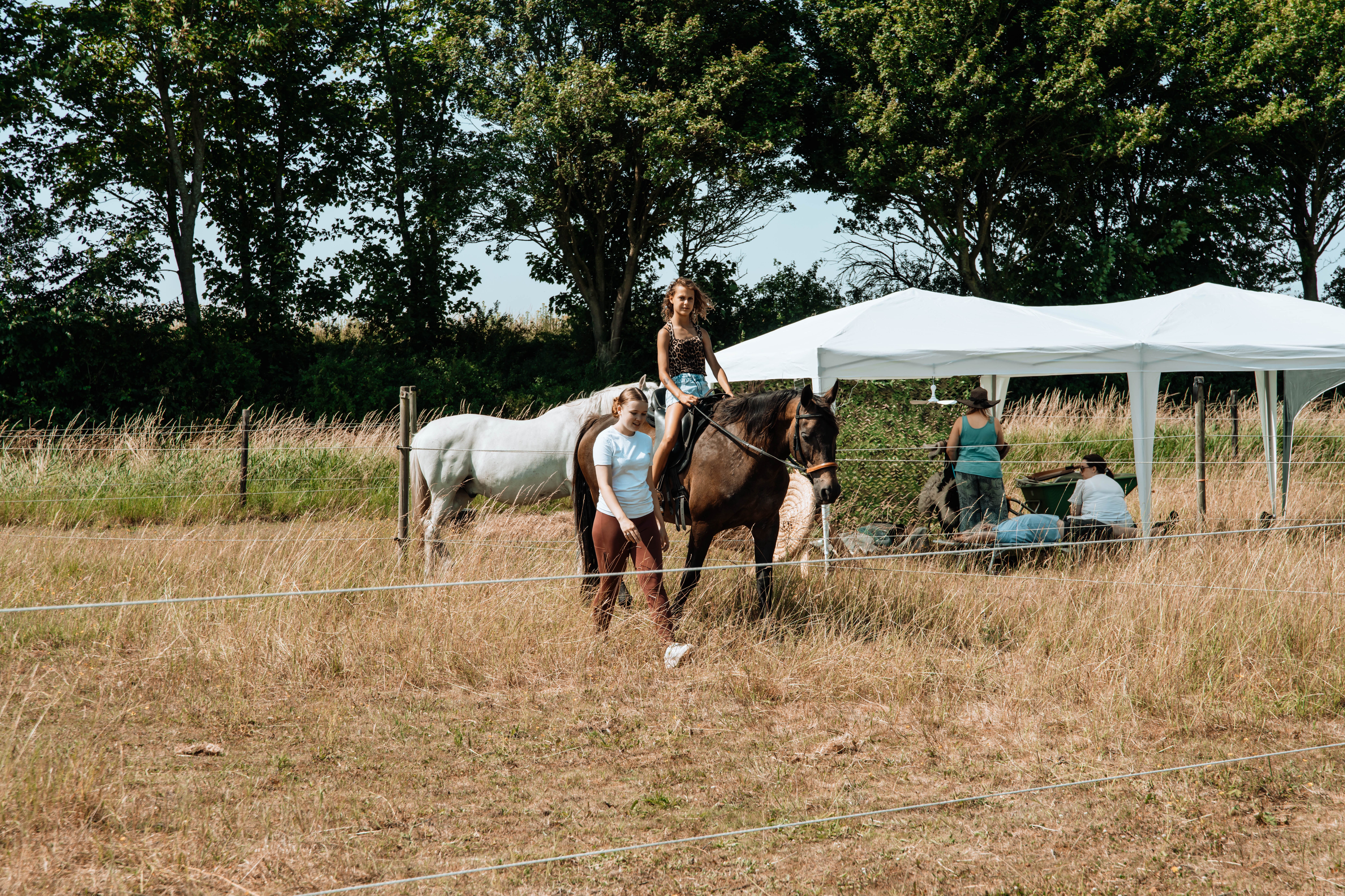 Equi Amica 2025